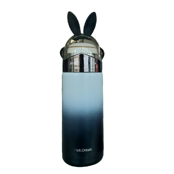 Liquid Thermos Bottle 350ML, SK273 